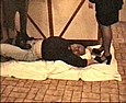 CP8.jpg